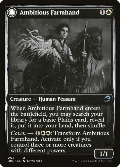 Ambitious Farmhand // Seasoned Cathar