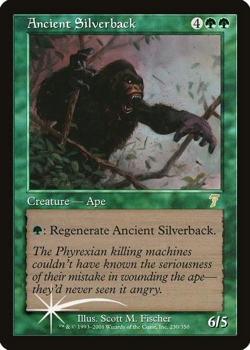 Ancient Silverback