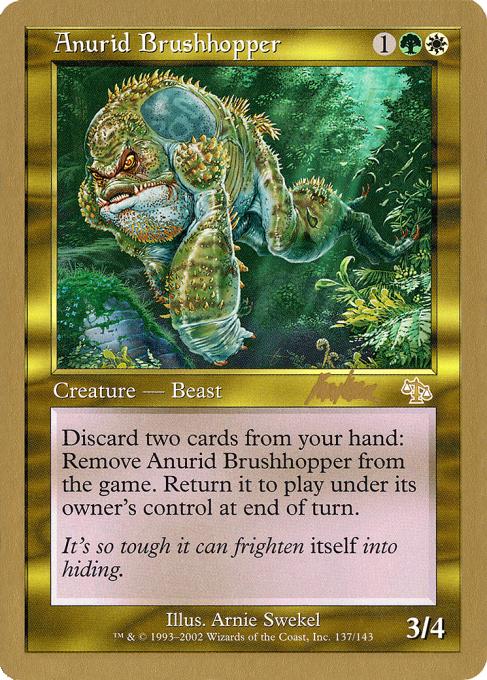 Anurid Brushhopper