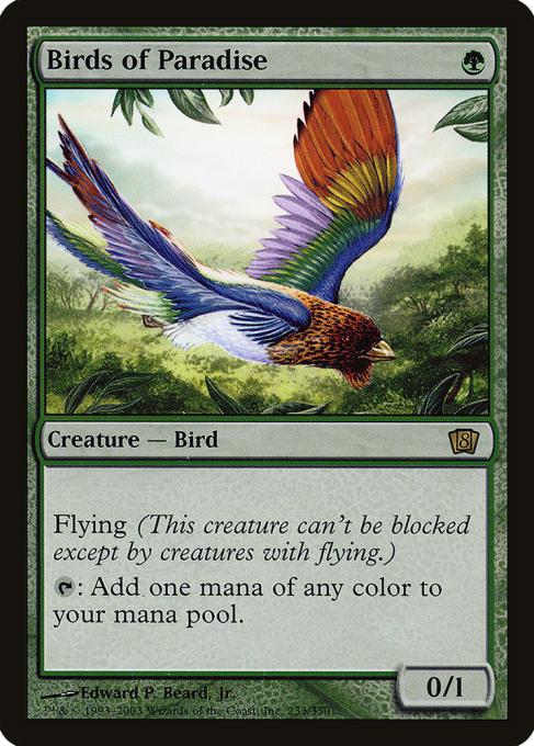 Birds of Paradise