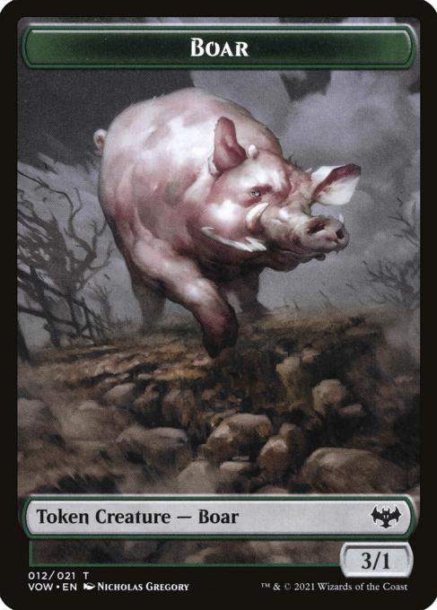 Boar