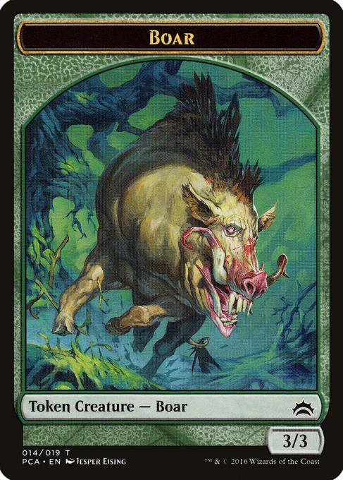 Boar