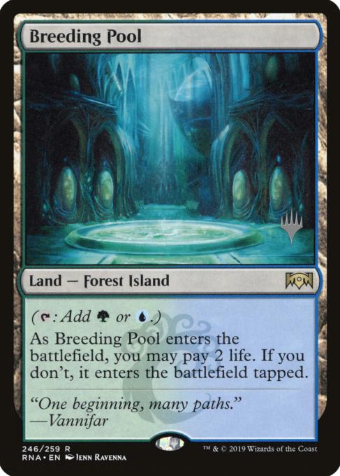 Breeding Pool