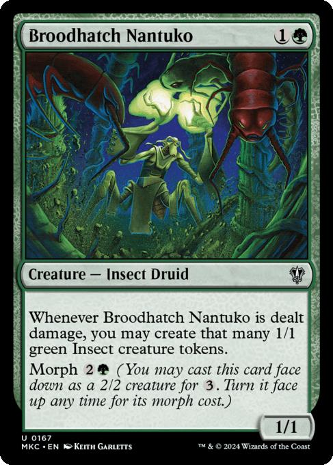 Broodhatch Nantuko