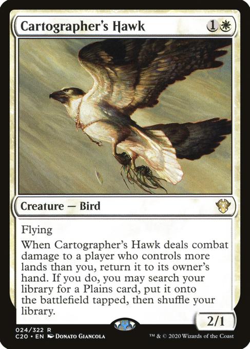 Cartographer's Hawk