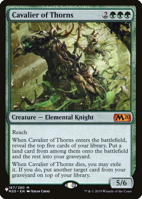 Cavalier of Thorns