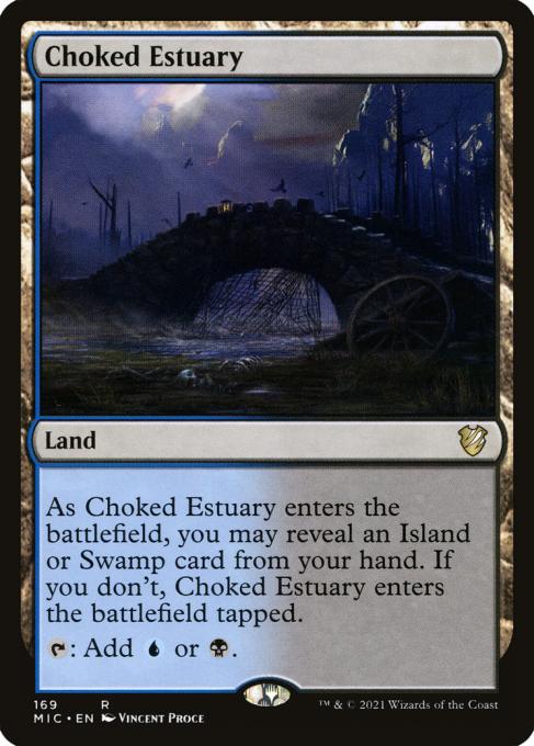 Choked Estuary