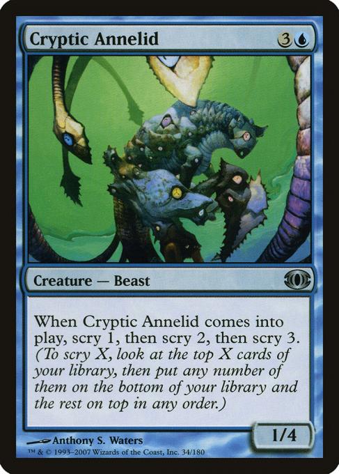 Cryptic Annelid