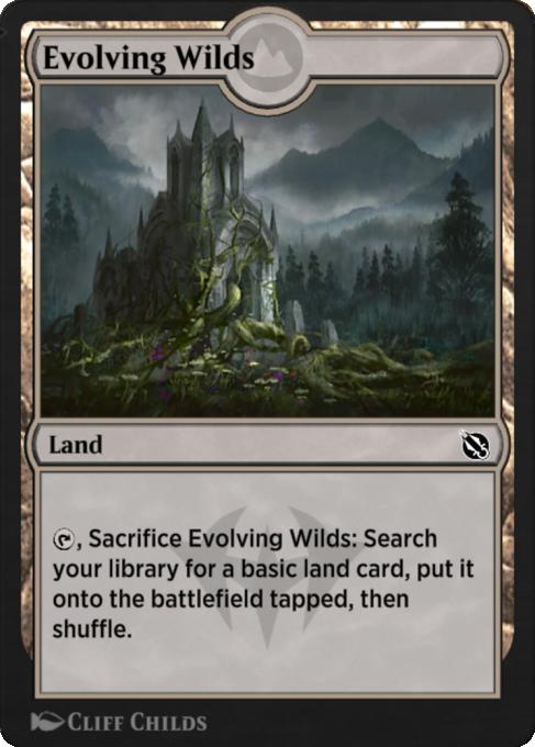 Evolving Wilds