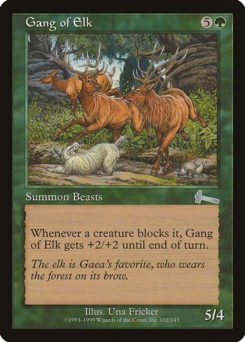 Gang of Elk