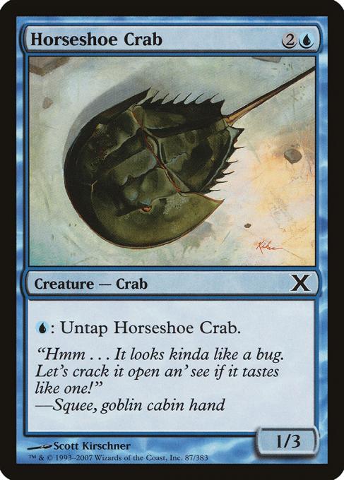 Horseshoe Crab