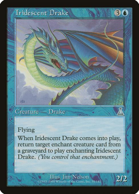 Iridescent Drake