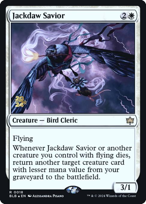 Jackdaw Savior