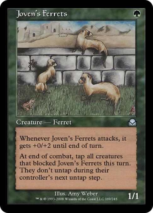 Joven's Ferrets