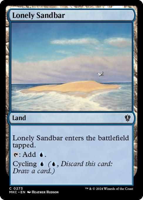 Lonely Sandbar