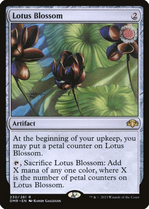 Lotus Blossom