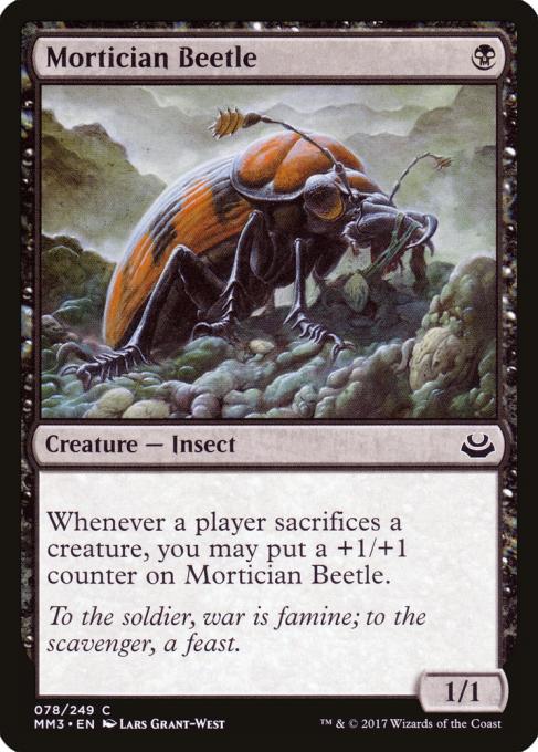 Mortician Beetle