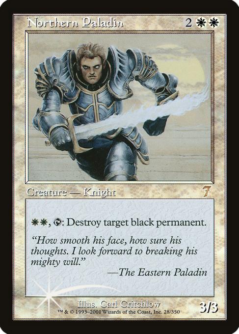 Northern Paladin