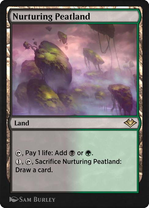 Nurturing Peatland