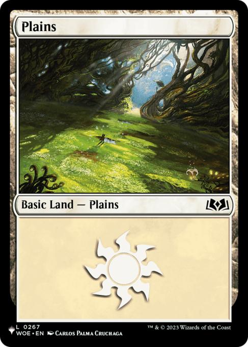 Plains