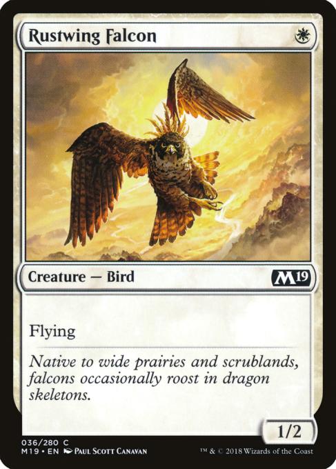 Rustwing Falcon