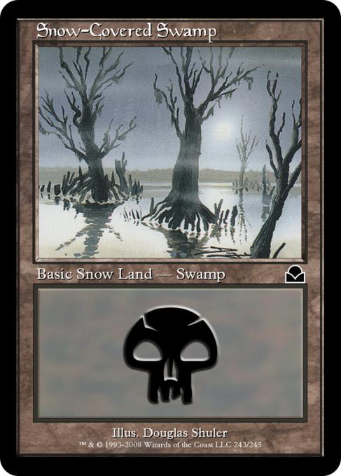 Snow-Covered Swamp