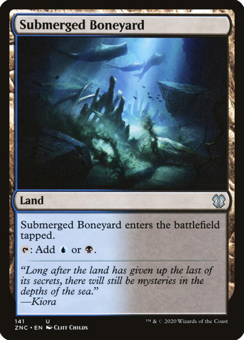 Submerged Boneyard