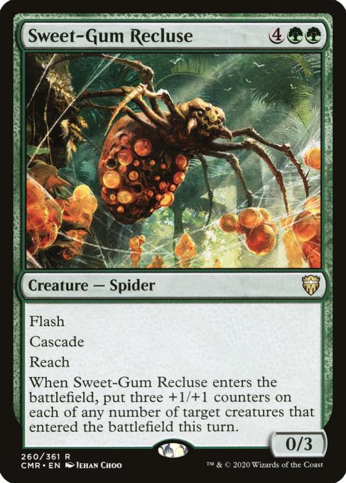 Sweet-Gum Recluse