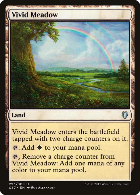 Vivid Meadow