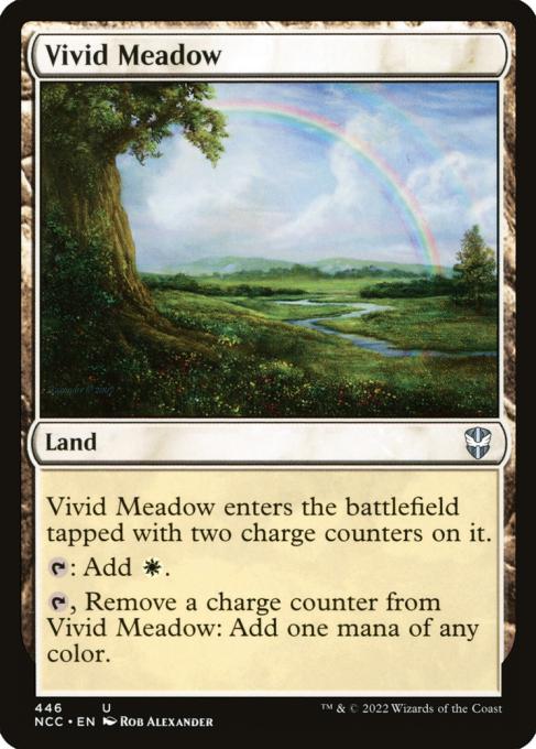 Vivid Meadow